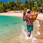 Discover Saona Island: Enjoy The Paradise