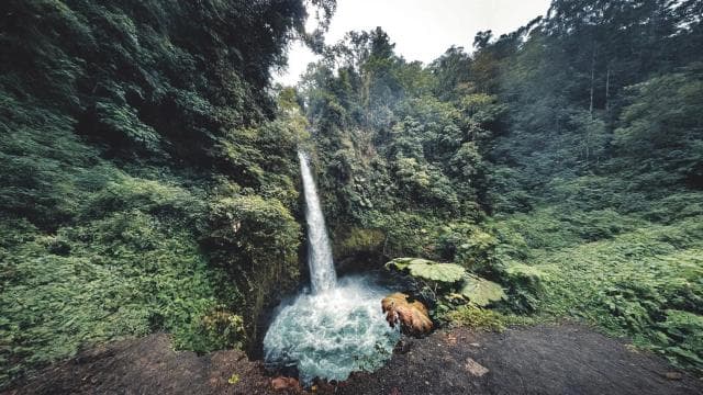 Coffee Farm tour, Poas Volcano Park and La Paz Waterfall