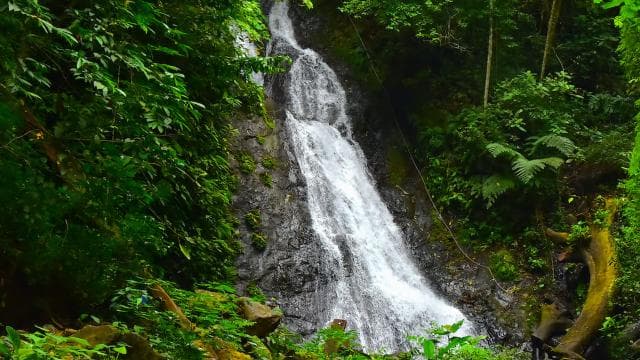 Jaco Beach: Waterfall Canyoning