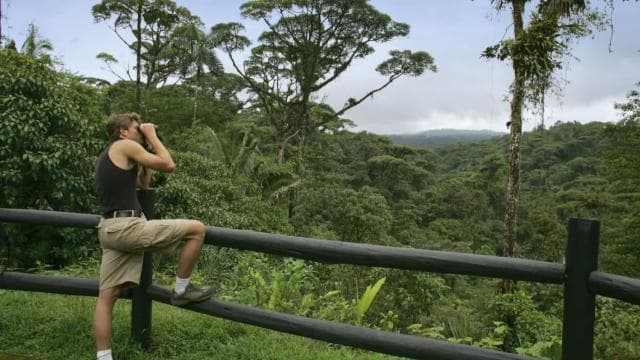 Bird Watching Tour at Rainforest Adventures Braulio Carrillo