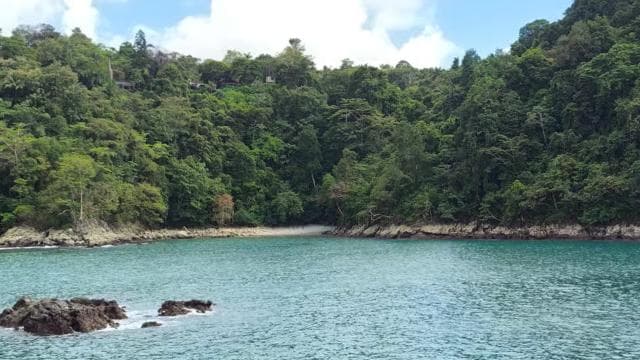 The heart of Quepos: History and Culture tour