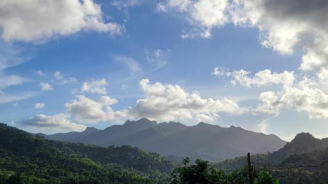 Fajardo: Rainforest guided adventure