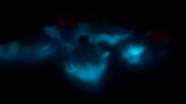 La Parguera: Bioluminescent Bay Boat Tour