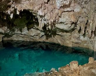 Private: Bayahibe: Jungle Walk and Cenote Snorkeling Tour