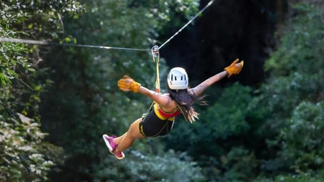 One Day: Ziplining, River Tubing, and Horseback Riding Trip