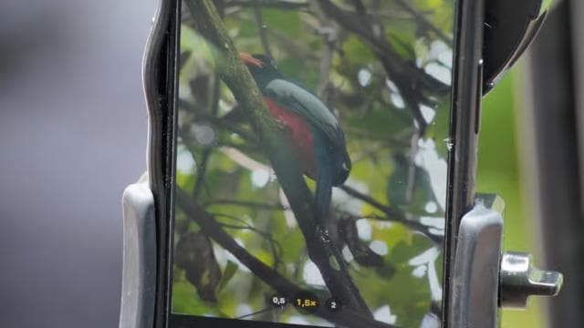 Manuel Antonio National Park: All-Inclusive Guided Tour