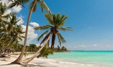 Bayahibe: Saona Island Catamaran Tour with Lunch & Drinks