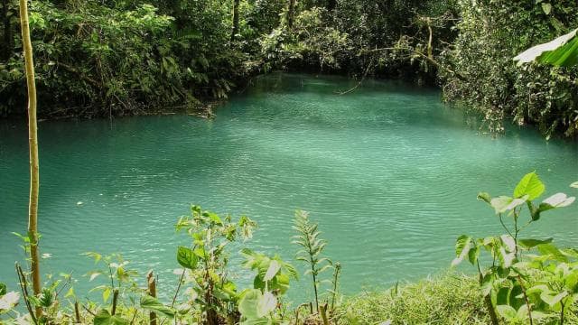 Rio Celeste, explore the rainforest and great waterfall