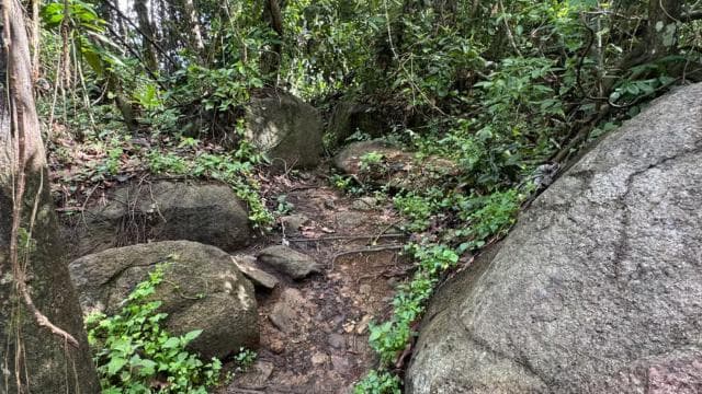 San Juan: El Yunque Waterfalls & Luquillo Beach Tour