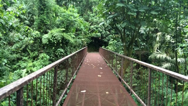 La Fortuna: Bird Watching Tour at Natura Park