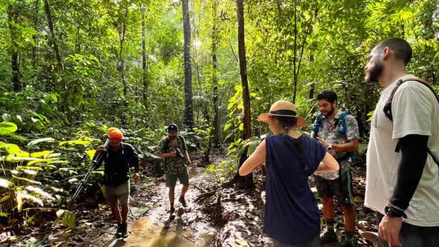 From Puerto Jimenez: Corcovado National Park Full-Day Tour