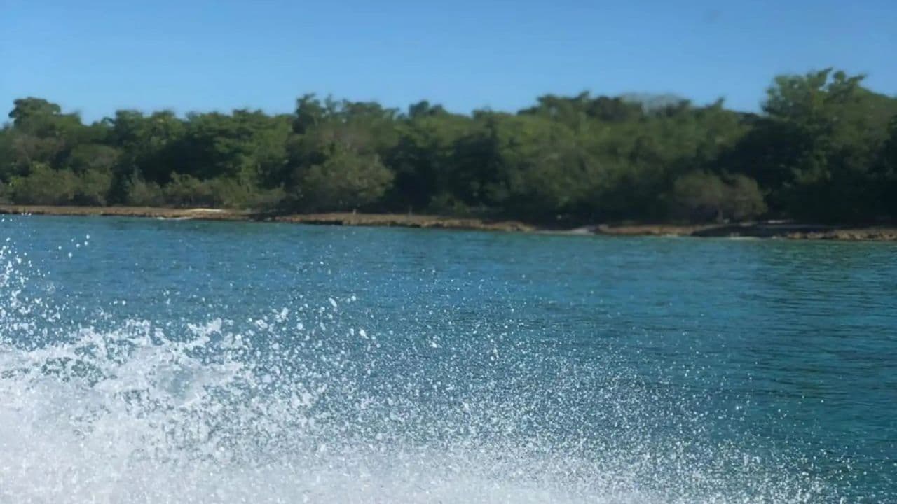 Exclusive Party Yacht Snorkeling, Natural Pool Book Now