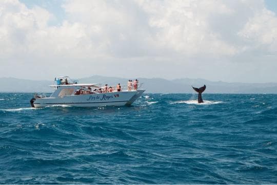 Miches Whale Watching + Laguna Limón Kayaking Tour — Meeting Point in Miches