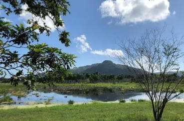 Puerto Plata Off-Road ATV Adventure