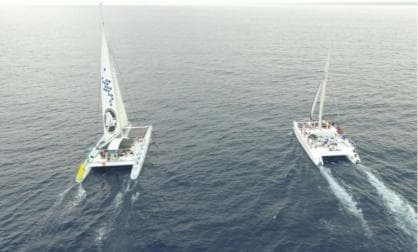 Saona Island all day with lunch and open bar departing from Punta Cana