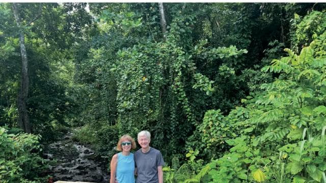 Puerto Rico: Private Hidden Waterfall Tour with Guide