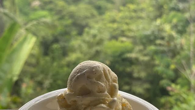 Manuel Antonio Villa Vanilla spice tour