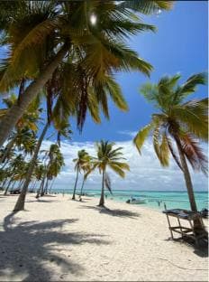 Saona Island VIP: 4 Beaches , Mano Juan & Canto de la Playa