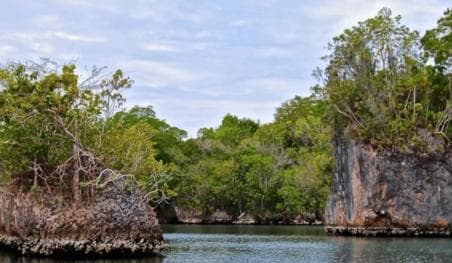 Samana: Los Haitises, Caño Hondo, Kayak Tour with Lunch