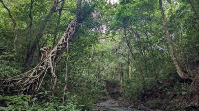 Private Tour Diria National Park Unspoken Hiking and Nature