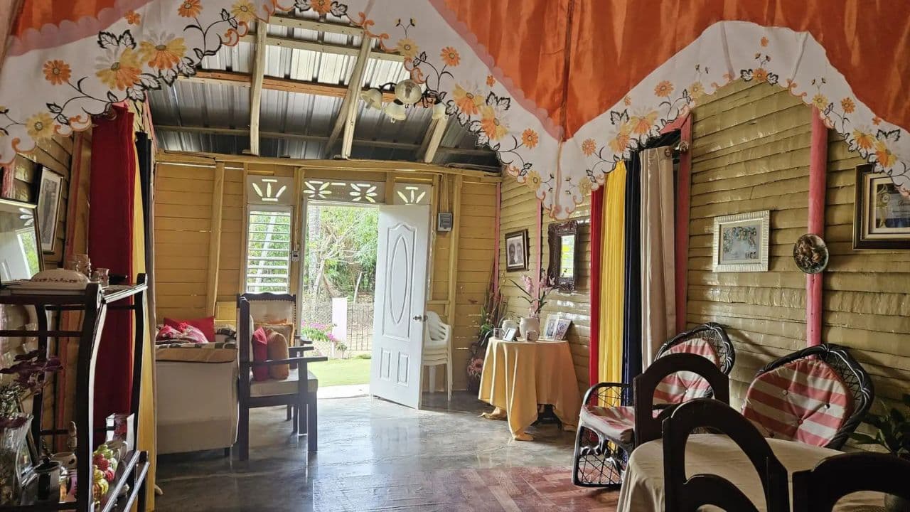 Private Half Day Tour in Punta Cana with Local Guide