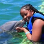 Dolphin Swim in Punta Cana – Best 60-min Dolphin Discovery