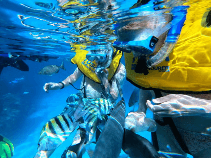 Snorkelling at Coral Beach + Saturn Cave