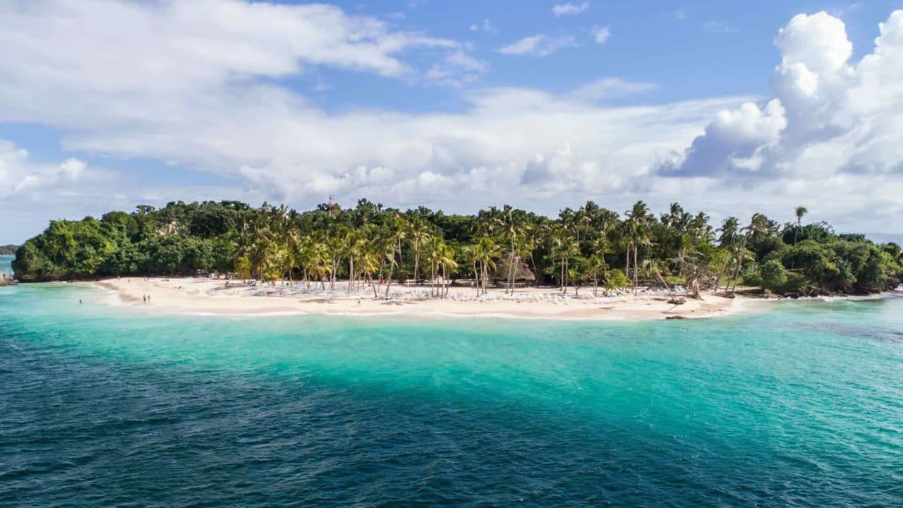 Whale Watching and Cayo Levantado Tour: A Perfect Tropical Getaway