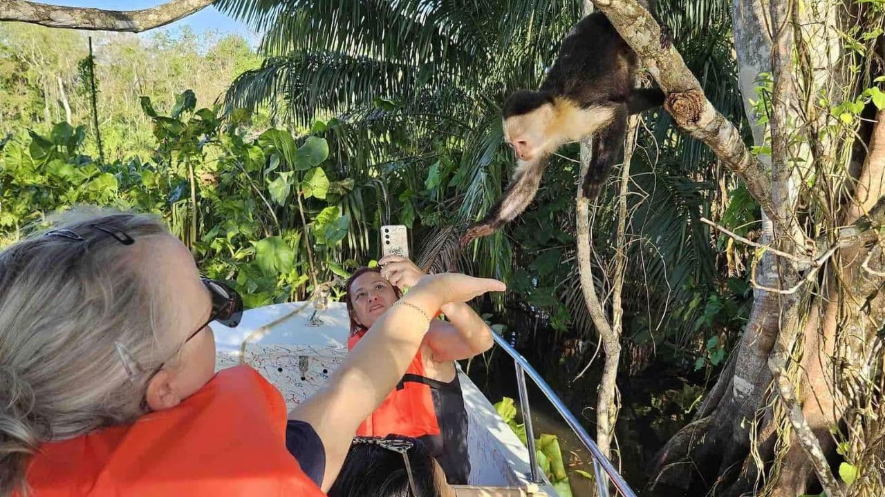 Excursion: Colonial City, Colón Lighthouse and 3 Eyes Park
