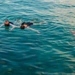 Catalina island snorkel with Food and drinks (Full Day)