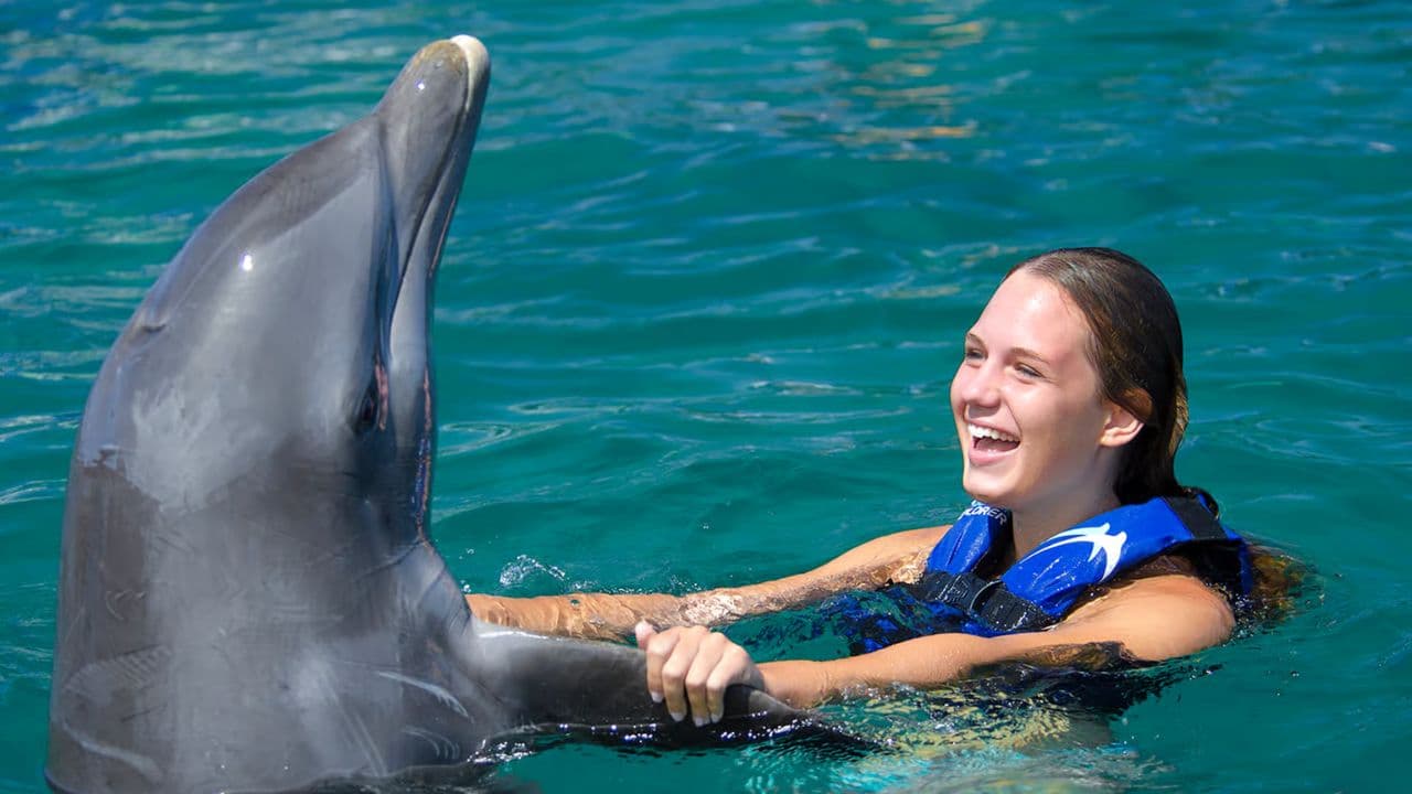 Punta Cana: Swim with Dolphins in the Pool