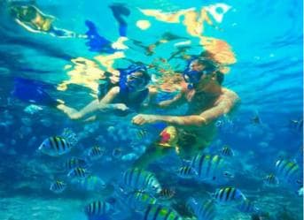 Private: Catalina Island Snorkel Dive Day Trip from Bayahibe