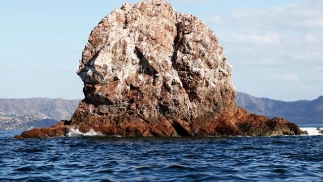 Costa Rica: Dolphin Watching & Snorkelling Private Charter