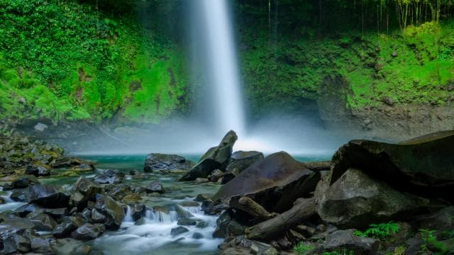 La Fortuna: Arenal Volcano, Hanging Bridges & Waterfall Tour