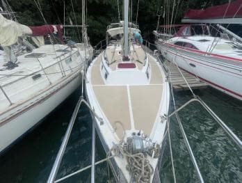 Sailing tour to Catalina Island from La Romana