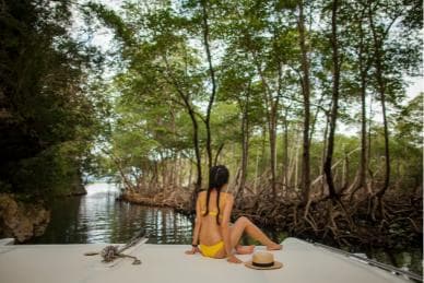 Samana: Private Los Haitises Expedition Caves & Mangroves