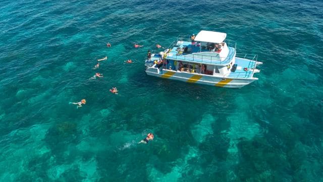 diving catalina island from punta cana