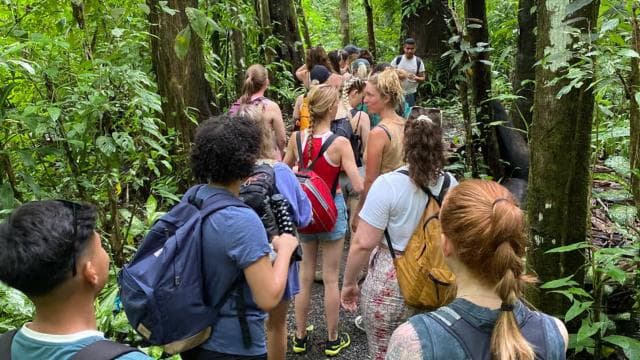 Jaco: 10 Hidden Waterfalls Hike with Local Food Experience