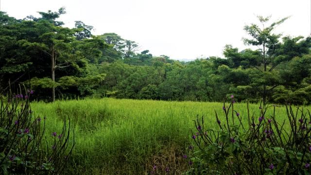 Monteverde: Curi-Cancha Reserve Tour with Entry Ticket