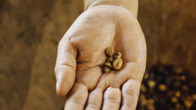 La Fortuna: Local Coffee Tour Experience