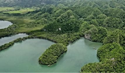 Las Terrenas: Los Haitises Boat and Walking Tour with Lunch