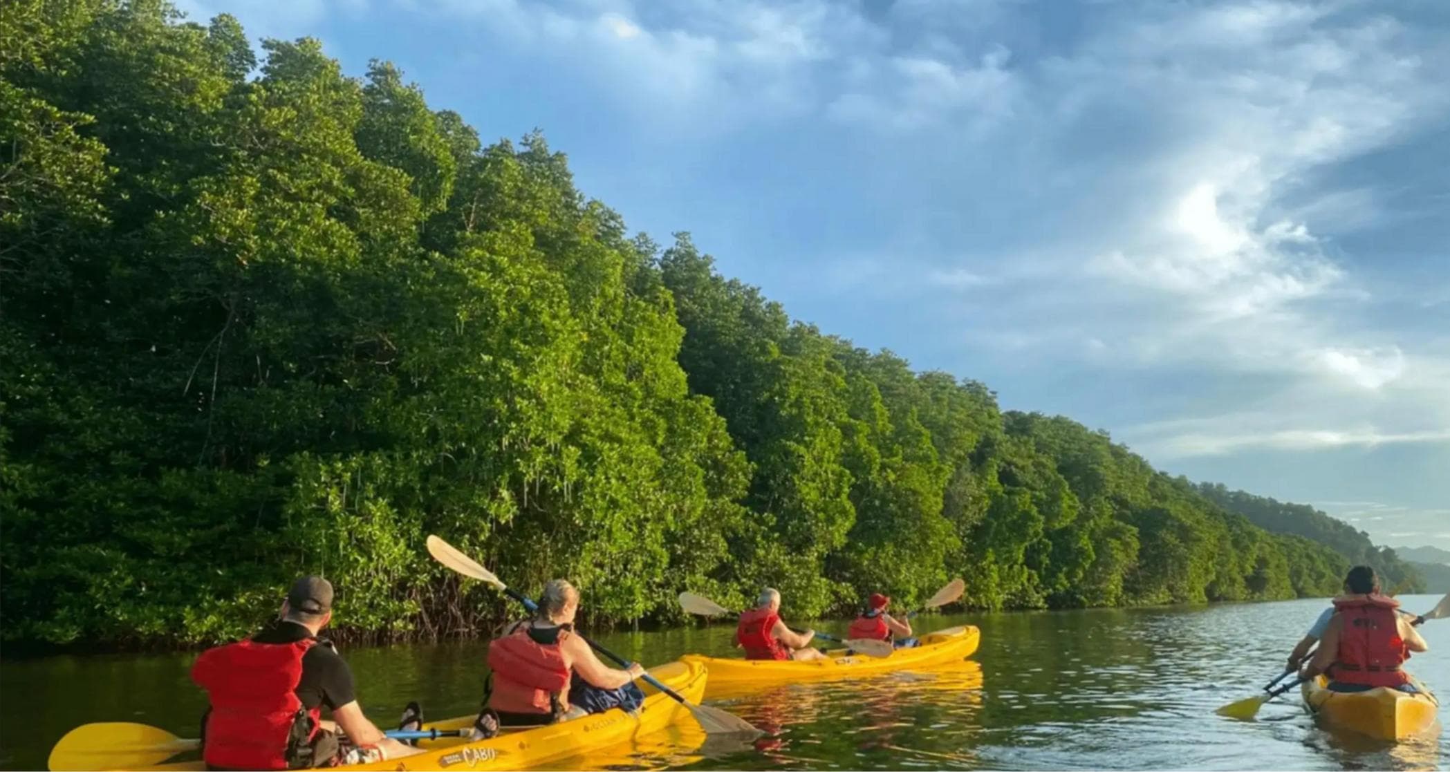 Punta Cana Whale Watching & Kayak at Laguna Limón – Miches Eco Tour