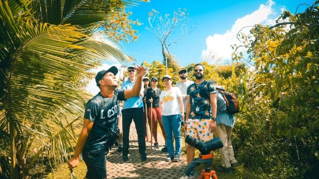 Arenal Volcano 3.5-Hour Rainforest Natural History Walk