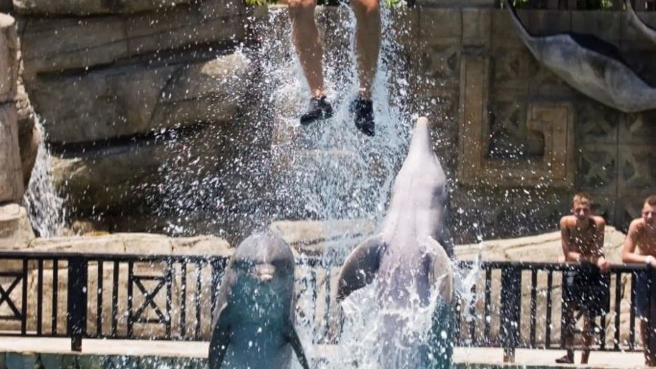 Puerto Plata Ocean World Adventure Park Taino bay Amber cove