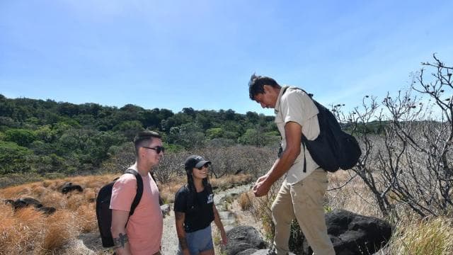 Rincón de la Vieja: Las Pailas trail + Oropendola