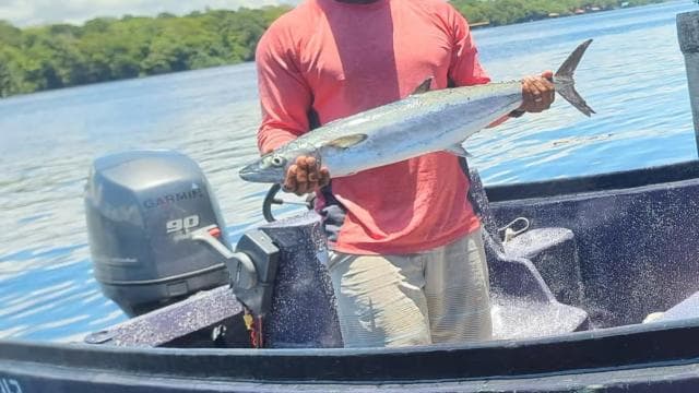 Fishing Tour