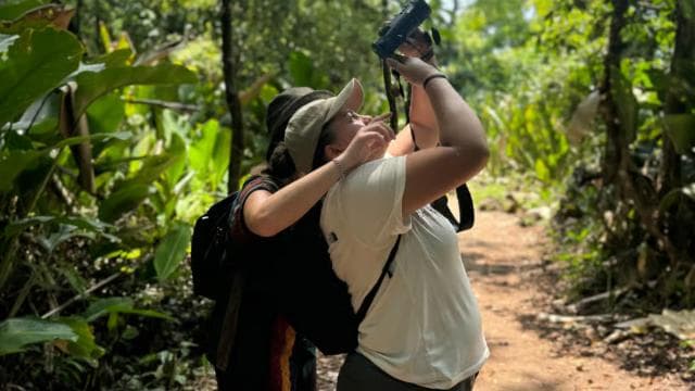 Tortuguero National Park: Jaguar Trail Day Walk Adventure