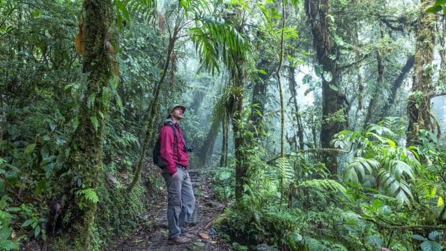 La Fortuna: Arenal Volcano, Lunch, & Hotsprings Morning Tour