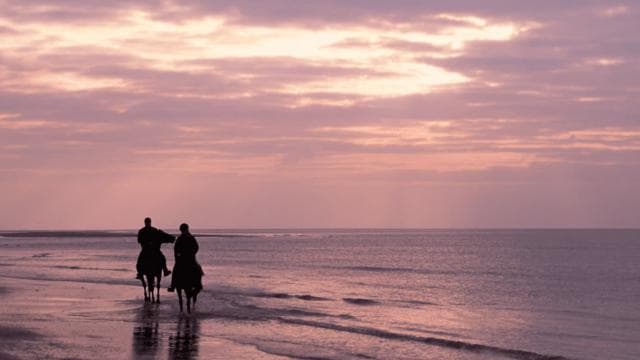Uvita: Horseback Riding Costa Rica