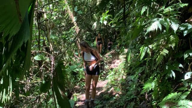 Puerto Viejo Talamanca: Quad Tour with 2 Waterfalls